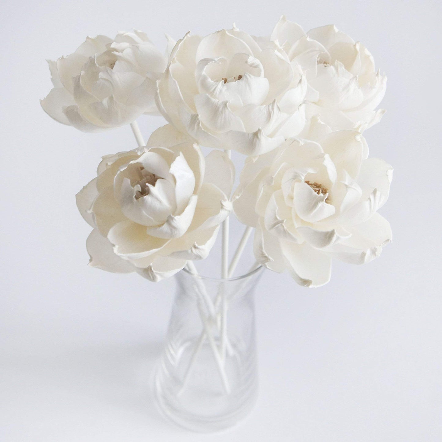 plawanature 5 Peony Auguste Dessert Flower 3" Sola Flower Reed Diffuser for Home Fragrance