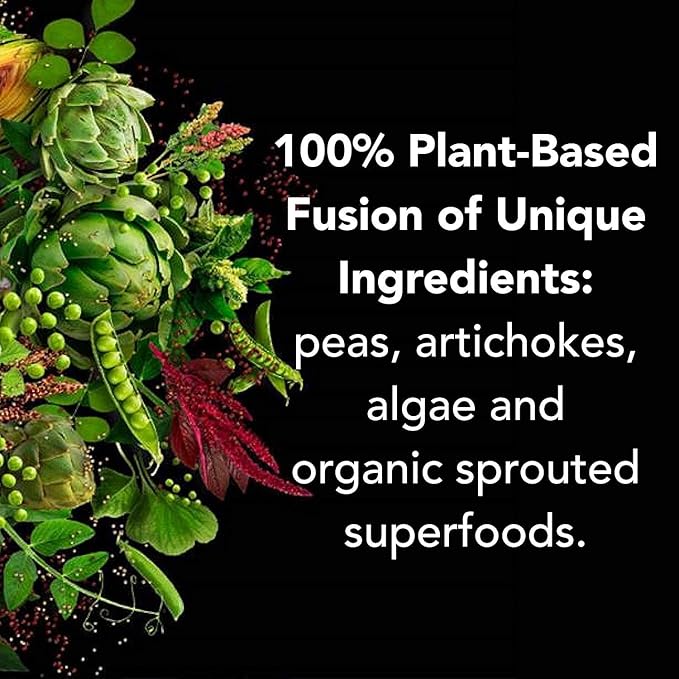 PlantFusion Complete Vegan Protein Powder Sample Packets - Plant Based Protein Powder Packets to-Go with BCAAs and Pea Protein - Keto, Gluten Free, Non-Dairy, No Sugar (Vanilla Pack of 4)