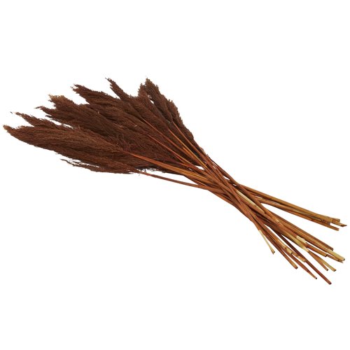 Deco 79 Dried Plant Pampas Home Decor Natural Foliage Natural Dried Foliage with Long Stems, Foliage for Decoration 2" x 1" x 35", Copper