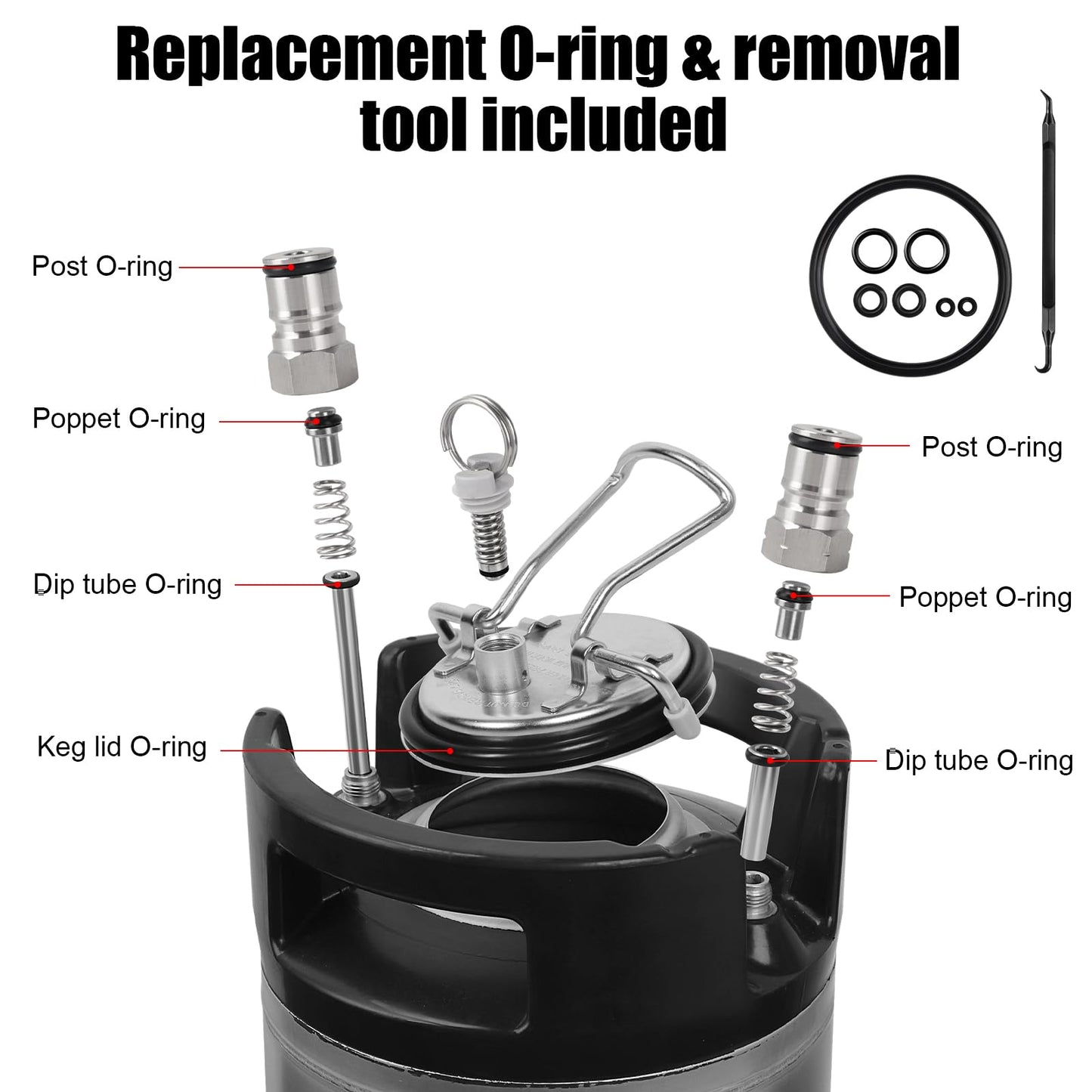 Ferroday Upgraded 5 Gallon Ball Lock Keg, Stainless Steel Corny Keg with Ball Lock Post, Portable Cornelius Beer Keg with Dual Rubber Handle, Gasket Set for Commercial Home Brewing