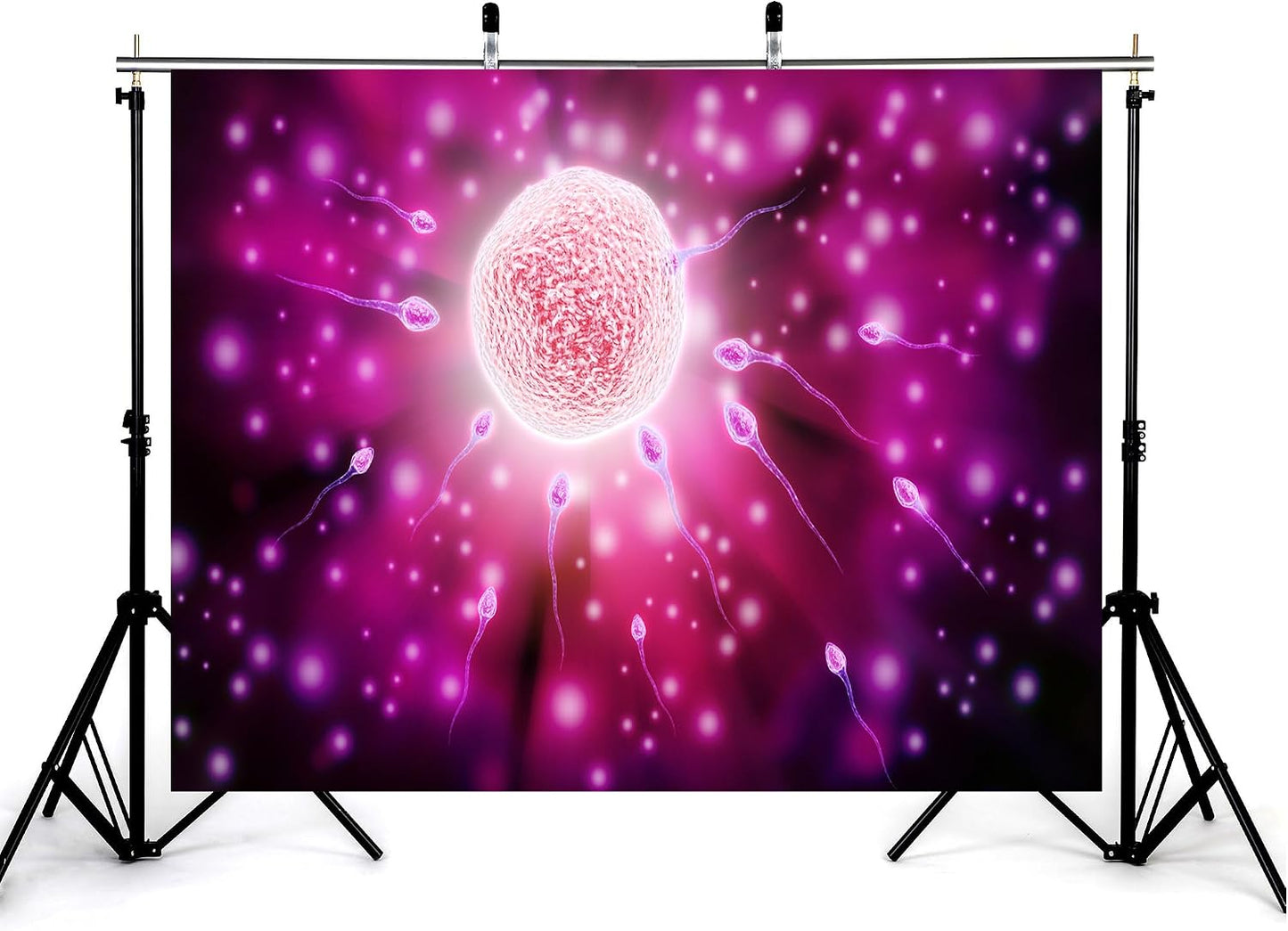 KeyWork 9x6ft Fertilization Science Illustration Backdrop Reproductive Biology Photography Background for Health Fair