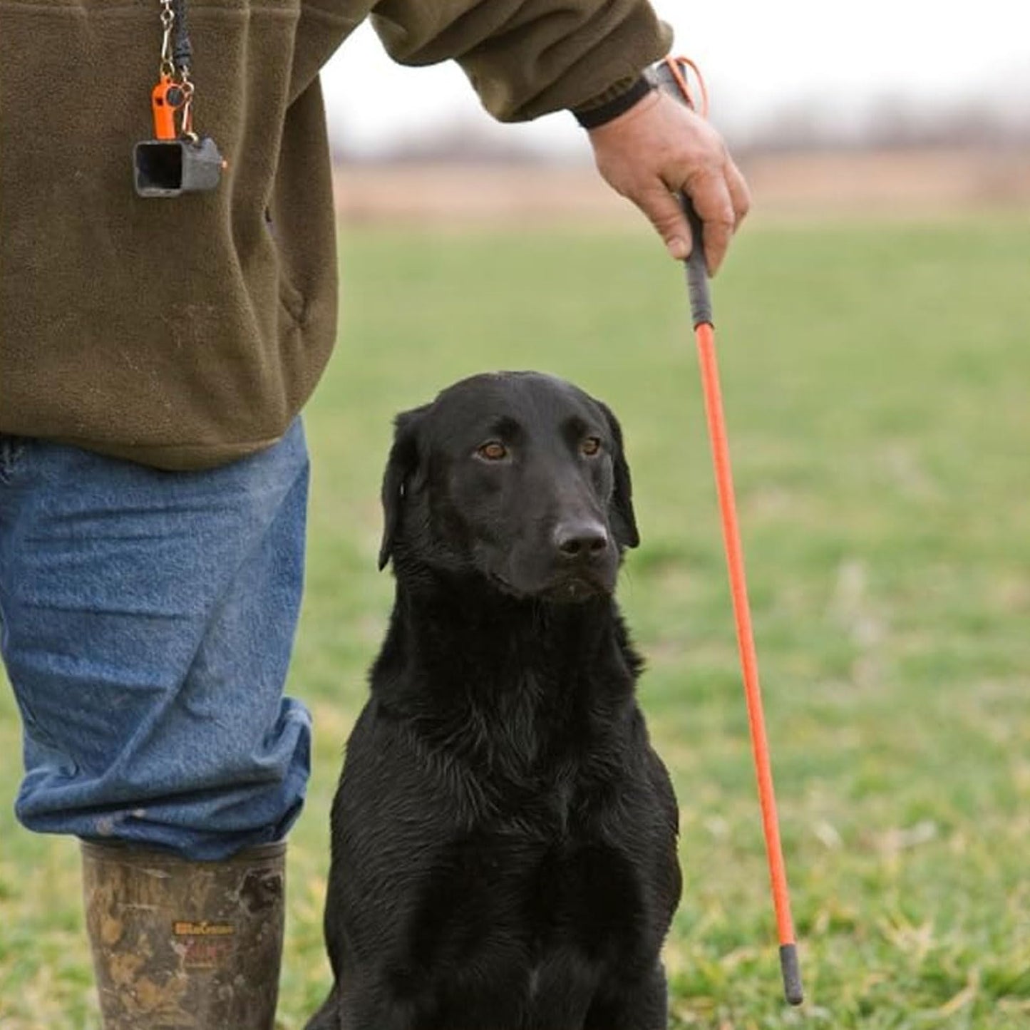 Avery Trainer's Heeling Stick for Dogs | 36" Flexible Fiberglass Obedience Rod with Non-Slip Grip Handle & Wrist Strap | High Visibility Training Tool for Gundogs & Retrievers