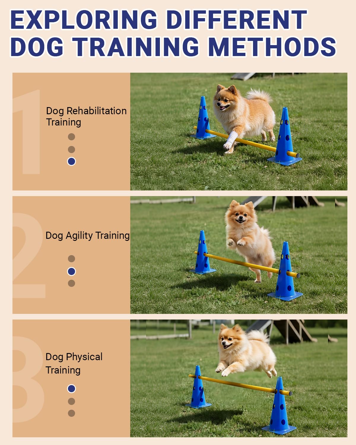Lupar Dog Agility Course Backyard Set, Dog Agility Hurdle Cone Set with Height Adjustable Crossbar for Rehabilitation & Beginners, Dog Agility Equipment for Dog Obstacle Course - 12 Inch