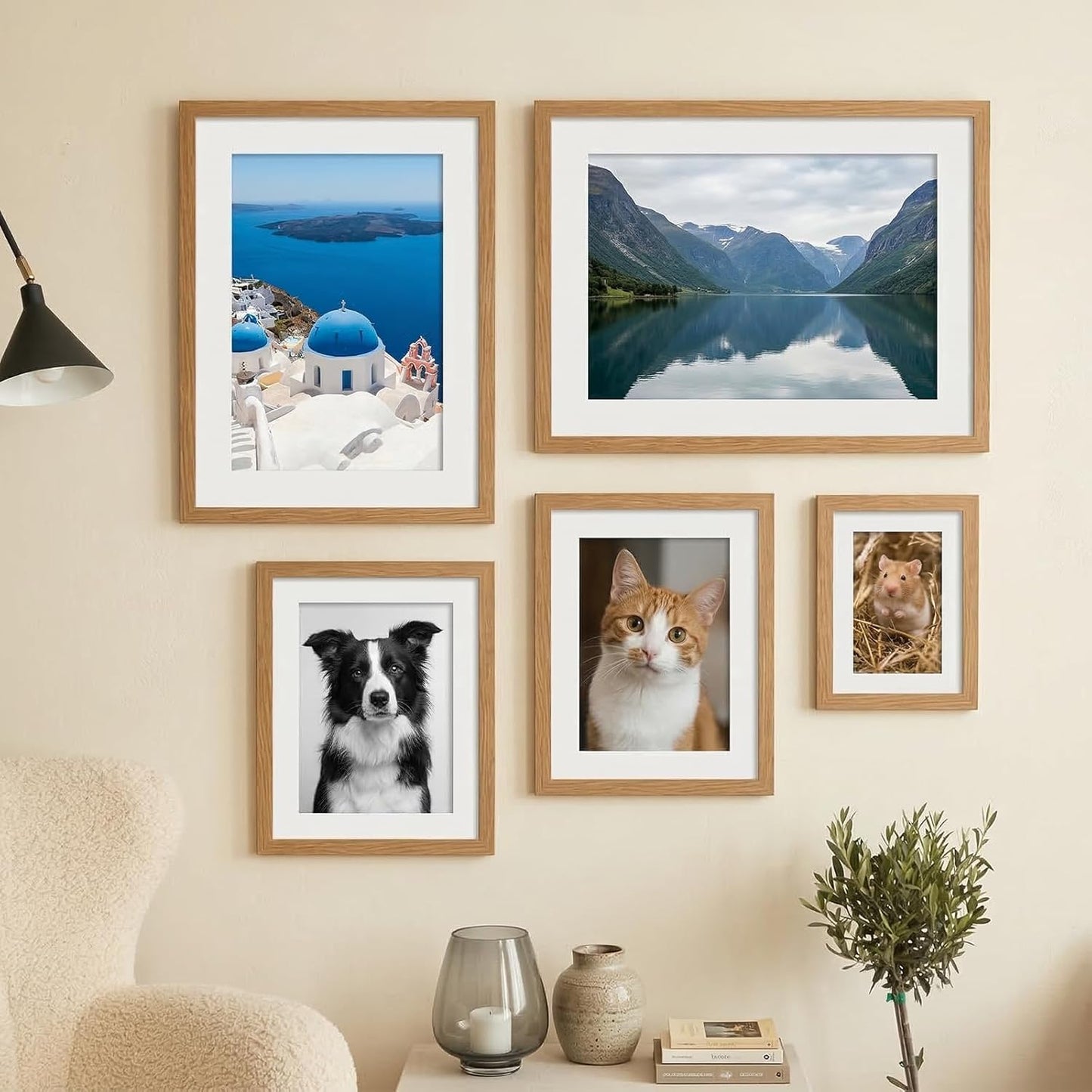 Xelsluthe 10 Pack 6,7,8,10, 11.6 Inch Picture Mats for Frames, Picture Frame Mats Core Bevel Cut Mat Board Show Kit