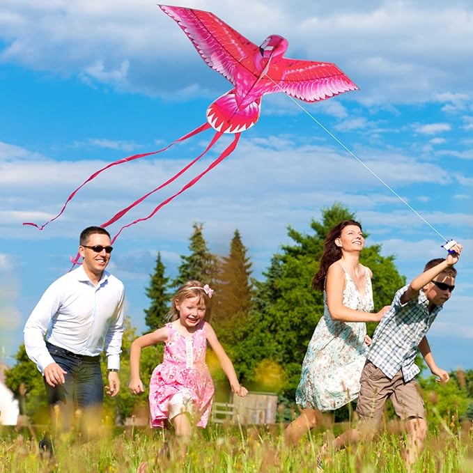Mint’s Colorful Life Large Kite for Kids and Adults, Easy to Fly Single Line Beach Kites, Comes with 300ft String Handle