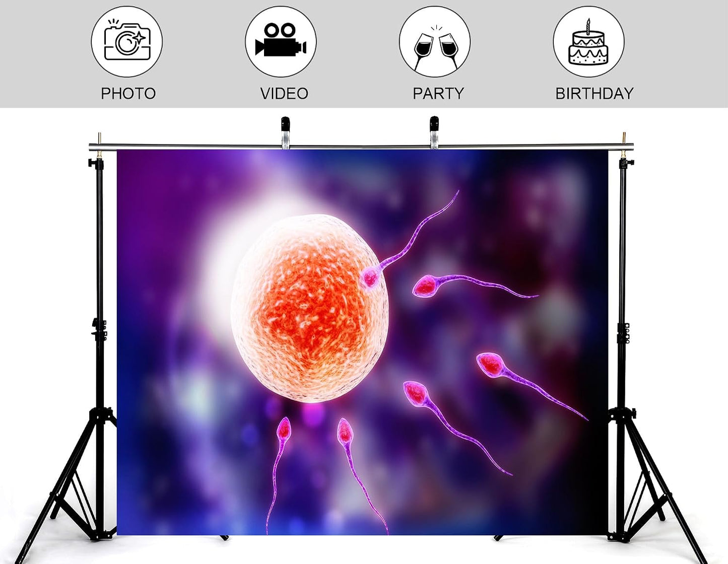 KeyWork 5x4ft Human Fertilization Illustration Backdrop Reproductive Science Photography Background for Health Fair