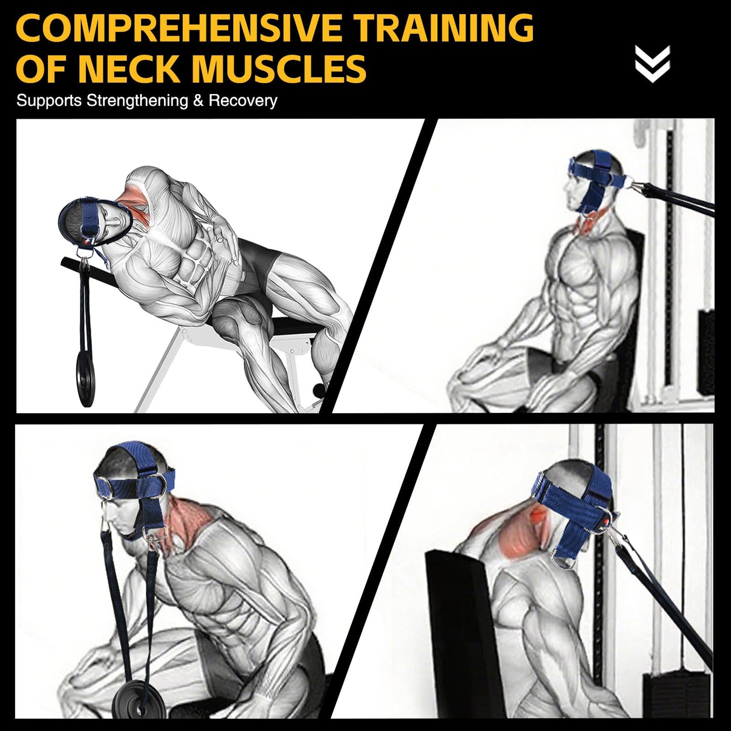Fitness Neck Head Harness Trainer, Adjustable Chin Strap and Head Harness Strength with Nylon Tether, Neoprene Neck Workout Exerciser for Weight Lifting, Home and Gym Use, Blue