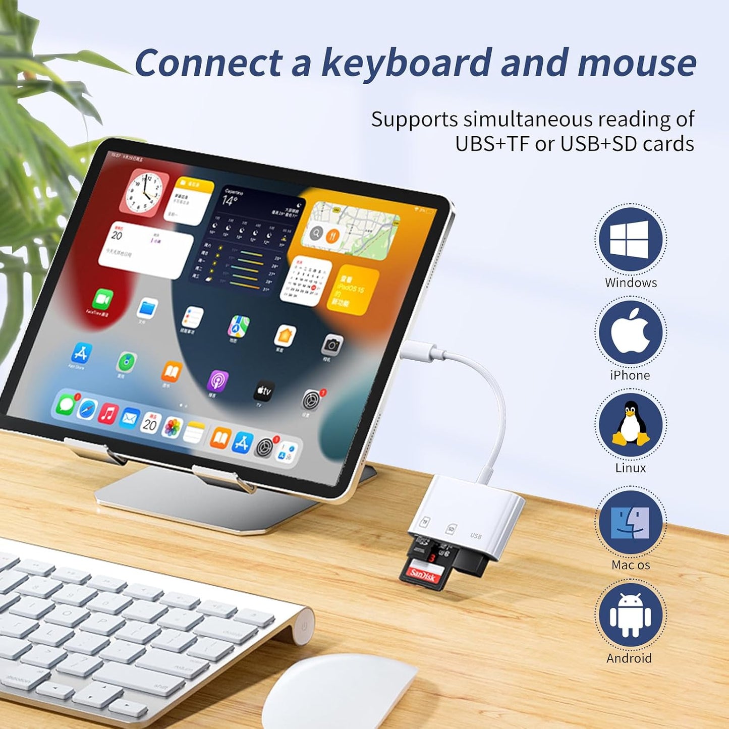 ROKO 17 16 15/iPad/Mac/Laptop3 1 SD Card Reader,Micro SD Card Reader for iPhone in sd Card Reader with Dual Slots & USB