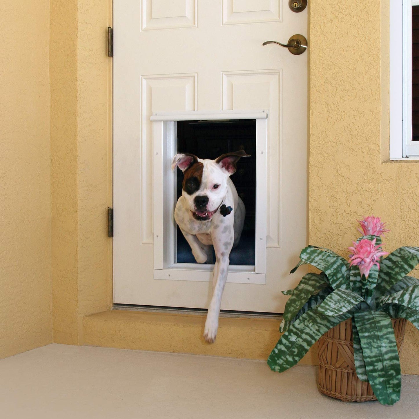 PlexiDor Performance Pet Doors Electronic Dog Door Large Bronze Door Mount