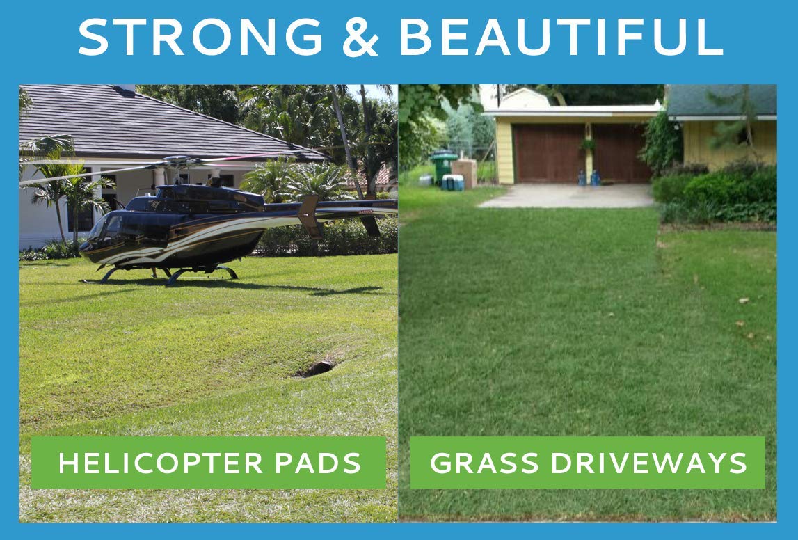 TRUEGRID | Root Grass Pavers | Designed as Outdoor Pavers for The Patio, Driveway, Walkways, Shed Bases, DIY Projects | 120,000 lb Load Class | Pack of 18 (72 Sq. Ft.)