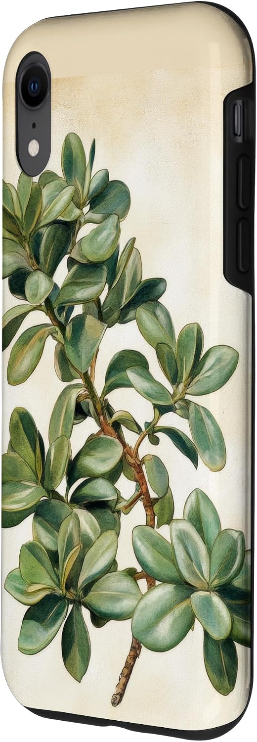 Antique Plant Botanical Art Garden DonaOnca Succulent Jade Plant Vintage Scientific Illustration Plant Case for iPhone