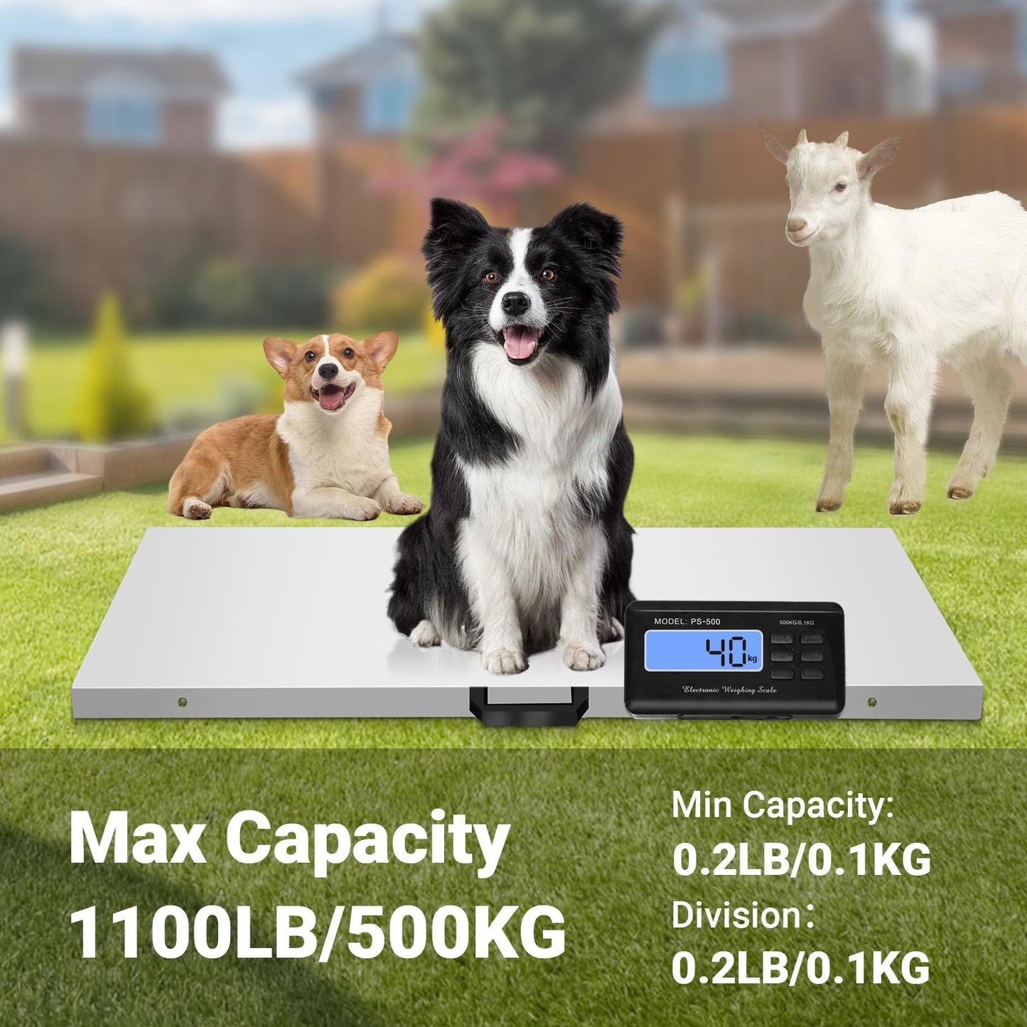 Large Dog Scales for Large Breed, 1100lb x 0.2lb Pet Scale for Large Dog, Livestock Scale, Animal Scale, Stainless Steel Platform, Large Scale for Dogs Sheep Goat Pig Shipping Scale