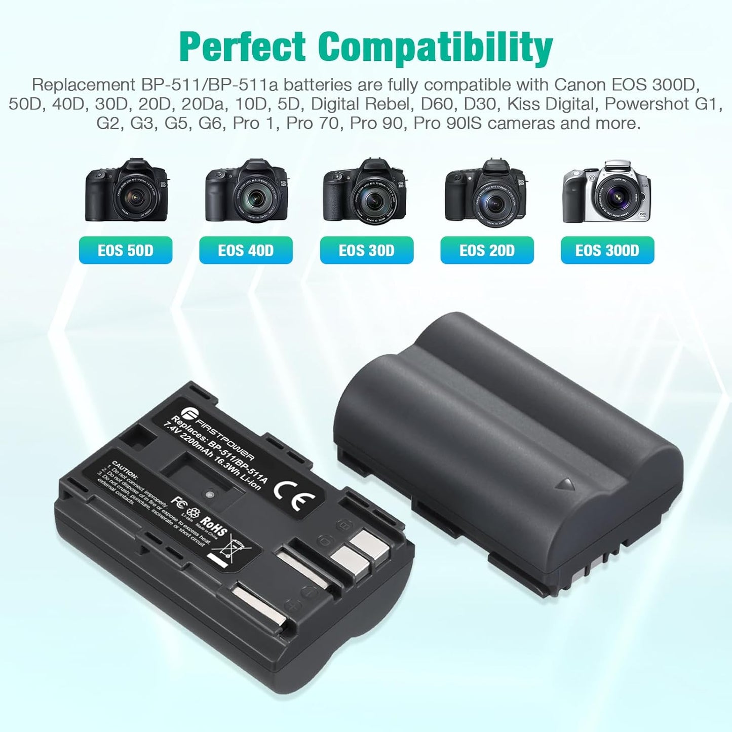 FirstPower BP-511 BP-511a 2-Pack 2200mAh 5D 10D 20D 20Da 30D 40D 50D 300D D30 D60 Battery and Dual USB Charger