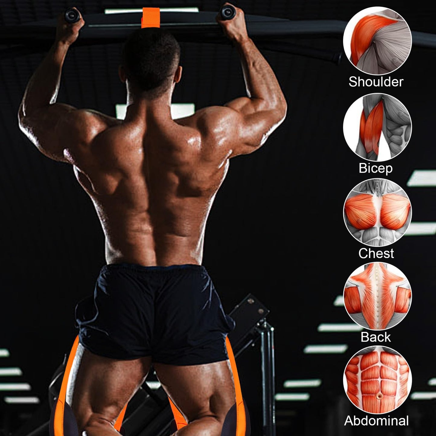 QIVDSEC Pull-Up Assistance Bands Set – Heavy Duty Adjustable Resistance Band with Feet/Knee Rest for Home Gym Strength Training