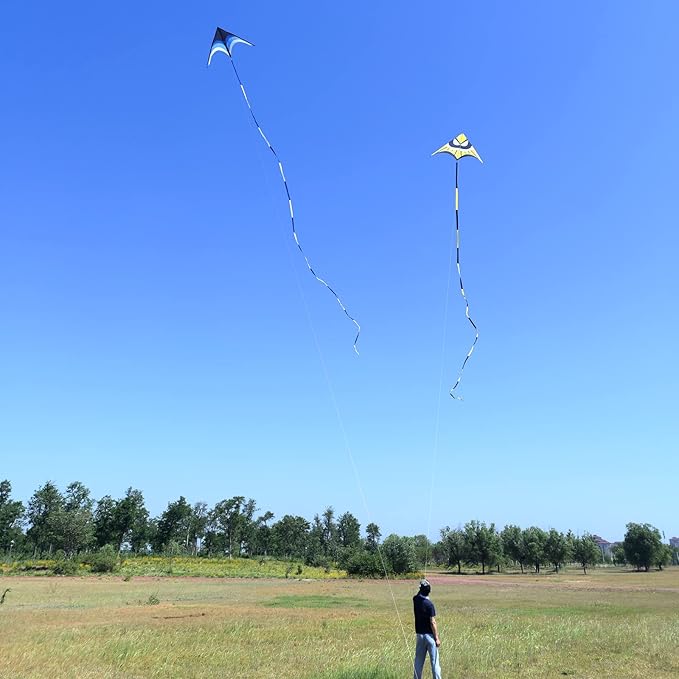 Delta Kite for Kids & Adults - Easy to Fly Large Single Line Beach Kite with 300ft String Handle Included, Perfect for Beginners, Teens
