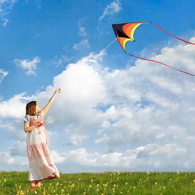 Mint's Colorful Life Delta Kite for Kids & Adults, Extremely Easy to Fly Kite, Best Kites for Beginner