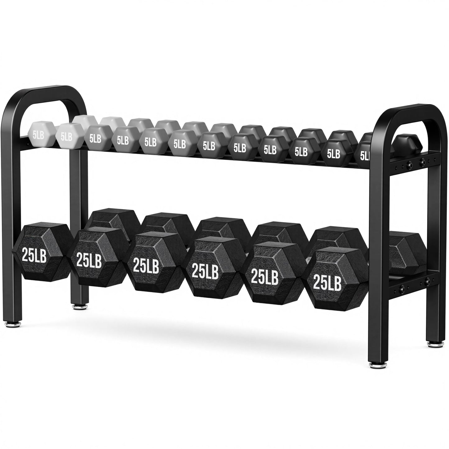 2 Tier Dumbbell Rack, Weight Rack for Home Gym, 300 lb Capacity