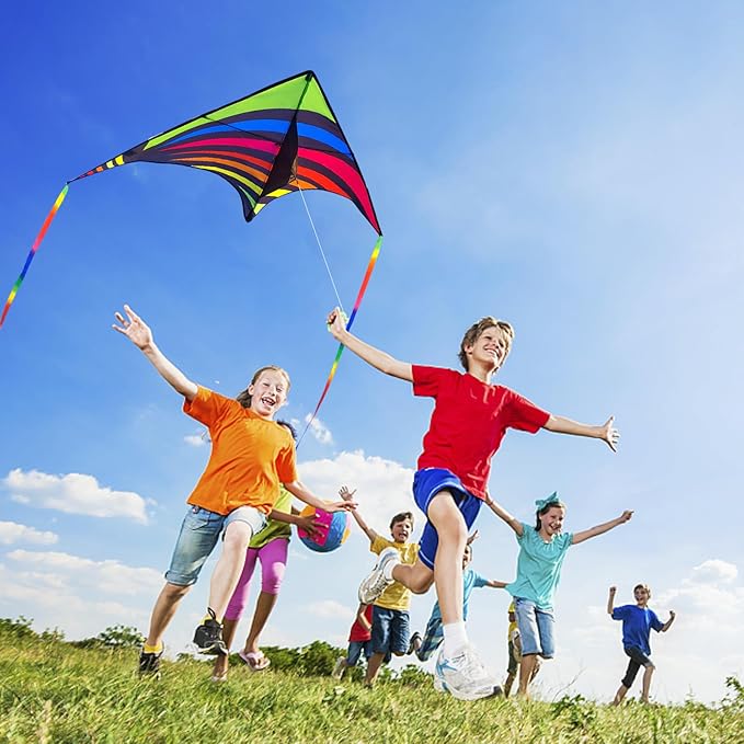 Mint's Colorful Life Delta Kite for Kids & Adults, Extremely Easy to Fly Kite, Best Kites for Beginner