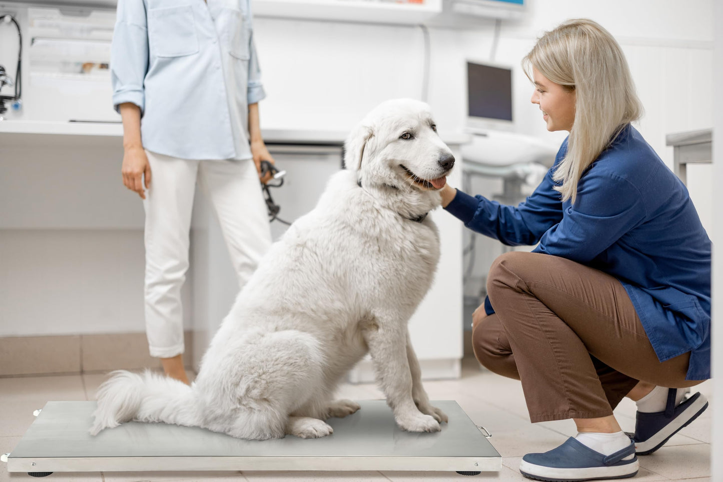 VivaComfort Veterinary and Dog Scale - Large Animal Digital Livestock Scale, 660 lbs Capacity, 44.09L x 20.47W x 1.77H
