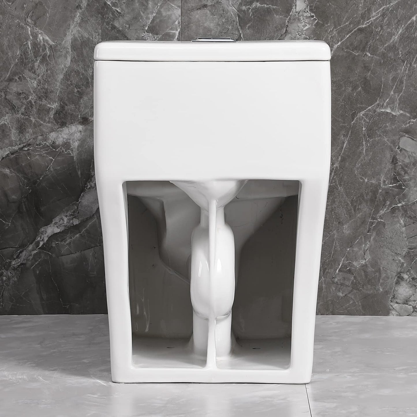 SouNor 12"Rough-in Ceramic One Piece Elongated Toilet for Modern Bathroom with Top Dual Flush (0.8/1.6GPF) Soft Close Seat ADA Standard Seat Height with Black Button.