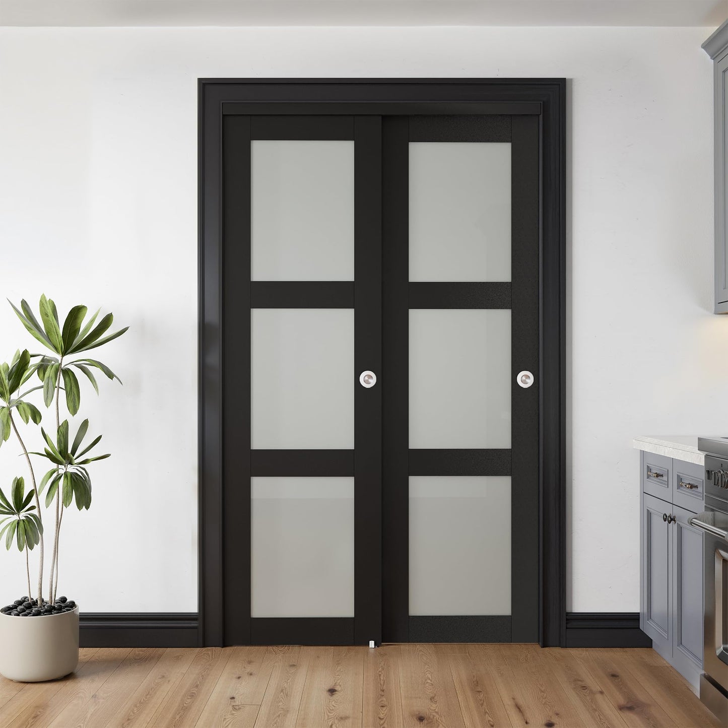 COSHOMER Sliding Closet Door for 48" x 80" Opening with Hardware Kit Set, Preassembled 3-Lite Frosted Glass MDF Barn Doors, Black