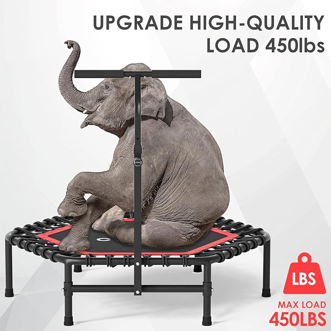 CLORIS 45'' Rebounder Trampoline for Adults - Max Load 450lbs, Mini Trampoline with Adjustable Foam Handle Indoor/Outdoor Fitness Body Exercise