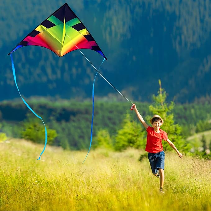 Delta Beginner Kite for Kids & Adults, Easy to Fly Beach Kite