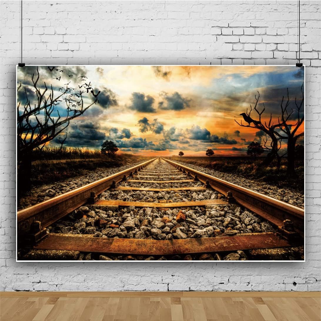 Eainb 10x8FT Sunset Old Train Track Backdrop Vintage Railway Station Photography Background for Photoshoot Nature