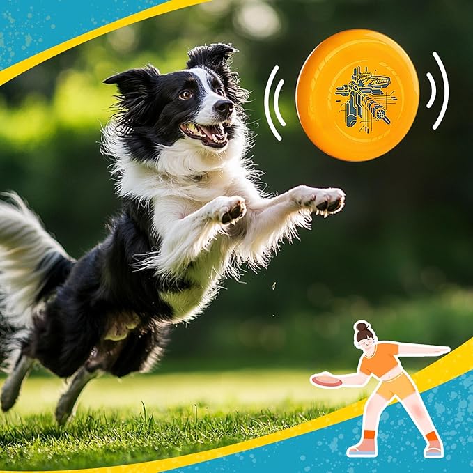 Wham-O Frisbee Go Flying Disc, 9 Inch Lightweight Sports Disc for Beginners Outdoor Beach Backyard Lawn Park Camping Family Activity Game - 70g
