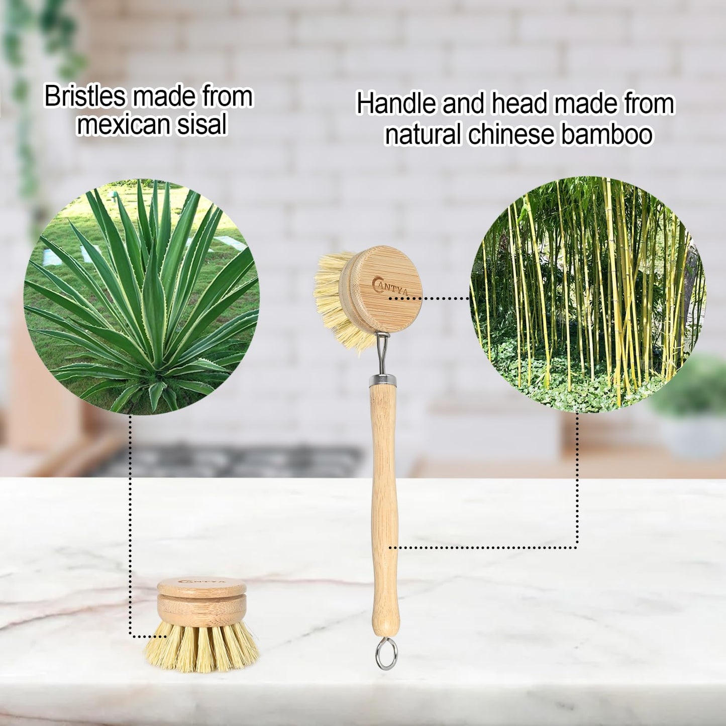 Bamboo Dish Brush with Handle - Soft Bristle, Non Toxic Vegetable Brush Scrubber for Food Compostable & Sustainable Kitchen Scrub Brush for Dishes, Pots and Pans