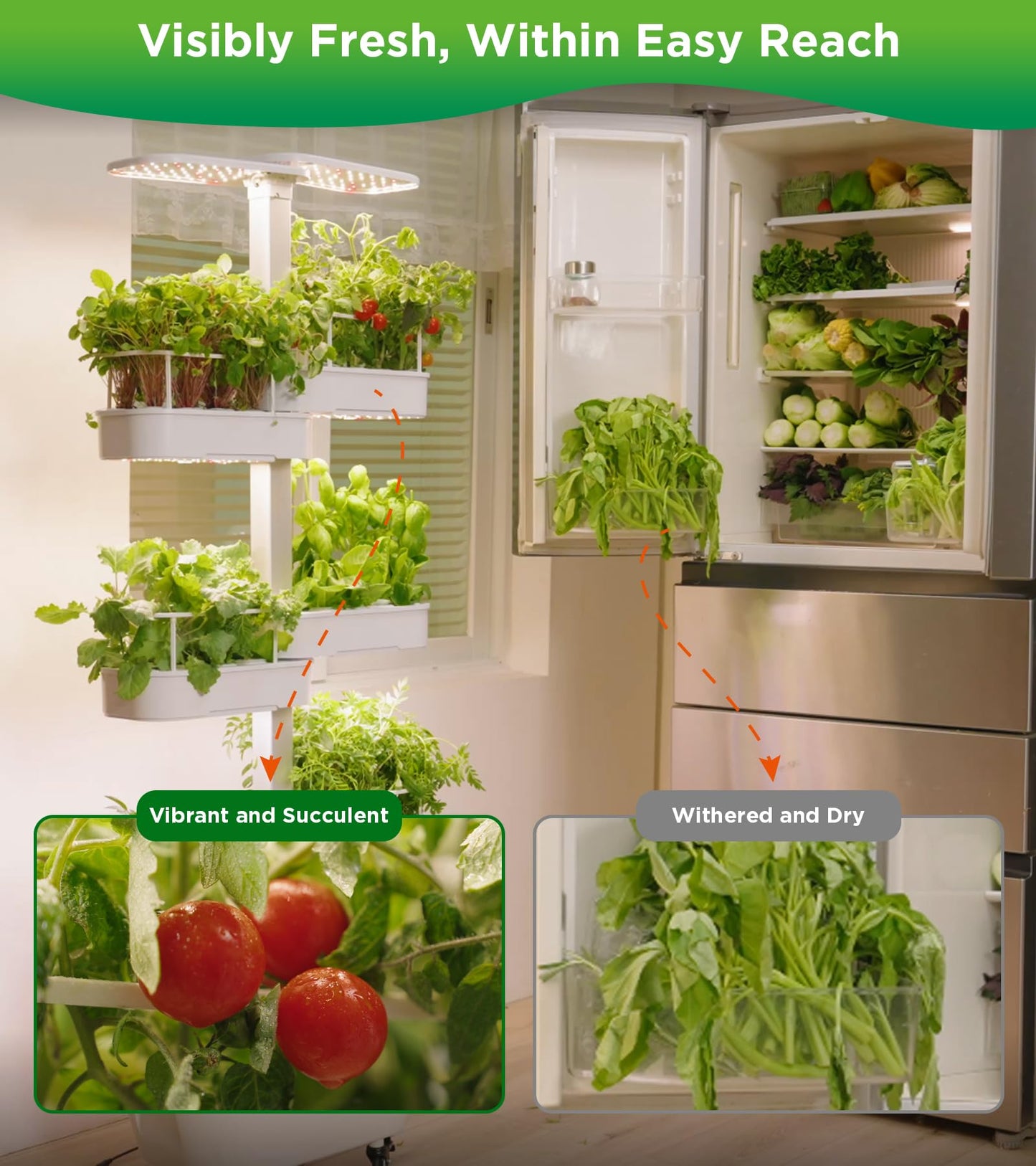 Hydroponics Growing System Kit,48 Pods Large Indoor Hydroponic Herb Garden with Smart LED Grow Light, Auto Circulating Water Pump,24L Water Tank,APP & WiFi Controlled,Gardening Systems for Ideal Gifts