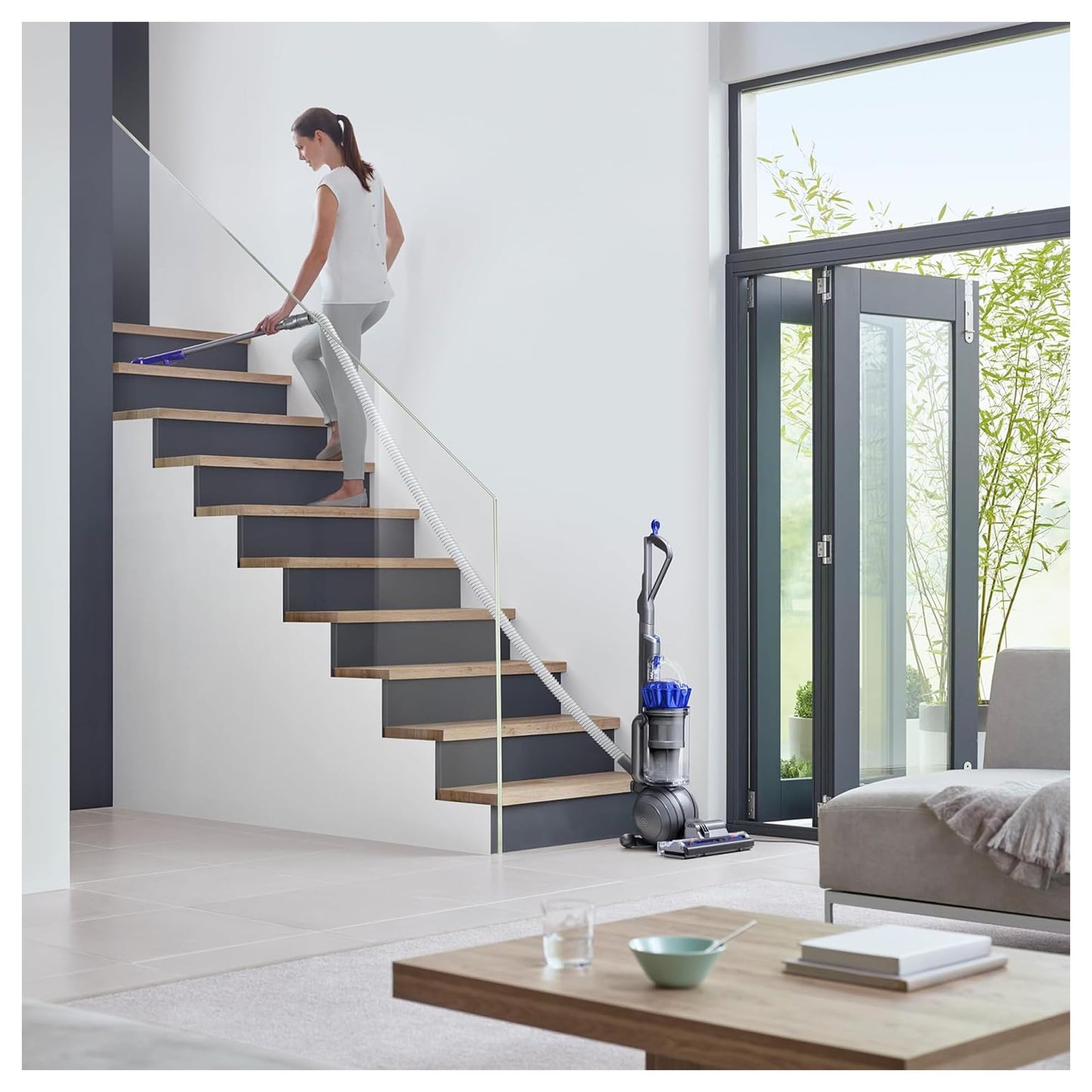 Dyson Ball Animal 2 Plus Corded Vacuum