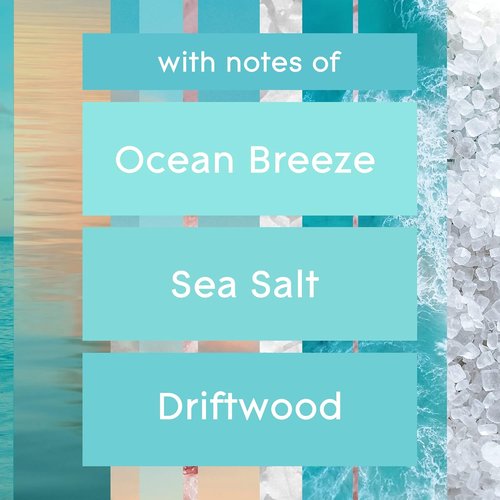 Glade PlugIns Refills Air Freshener - Sky & Sea Salt Scented Oils | 0.67 Fl Oz, 10 Count