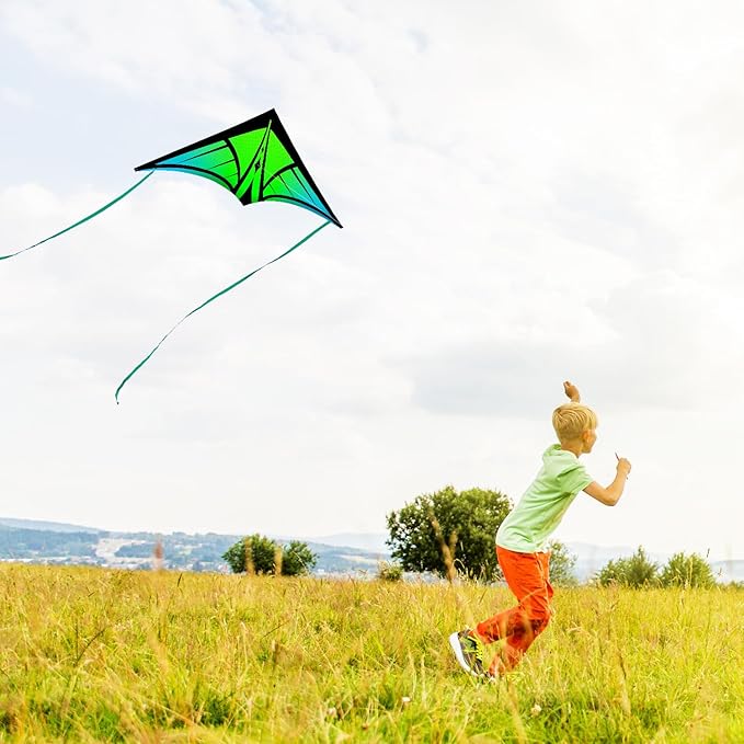 Large Delta Kite for Kids & Adults - Easy to Fly Outdoor Kites for Kids Ages 8-10, Perfect for Beach & Family Activities, Includes Line & Handle