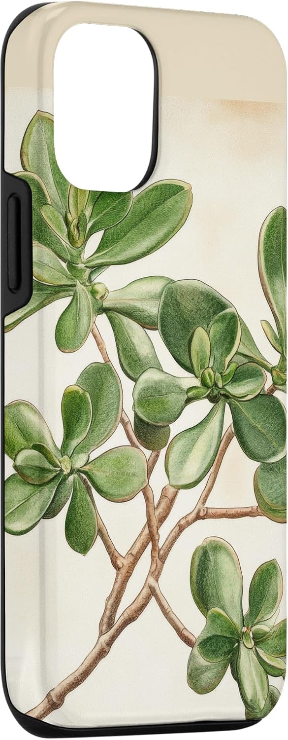 Antique Plant Botanical Art Garden DonaOnca 12/12 Succulent Jade Plant Vintage Scientific Illustration Plant Case