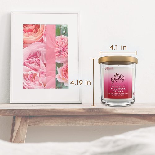 Glade Large Candle Jar - Wild Rose Petals Scented Candle Infused with Essential Oils | 16oz Air Freshener