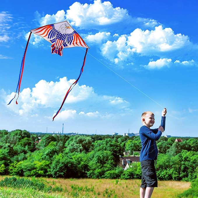 Xida Kites for Kids Ages 4-8, Large Kite for Adults, Easy to Fly Beach Kites with Handle and String,Perfect for Beginners,Beach,and Outdoor Flying Fun