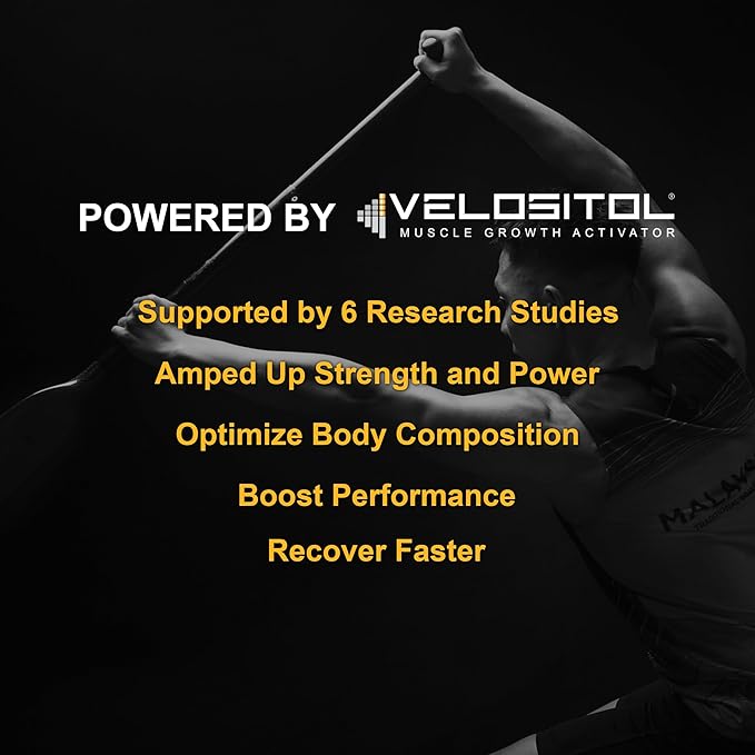 Vegan Sport Protein Powder Vanilla ??30g Plant Based Protein, VELOSITOL, BCAAs, Organic Greens & Fruits, Probiotics, Tart Cherry for Post Workout Recovery, Inform Sports Certified Keto - 20 servings