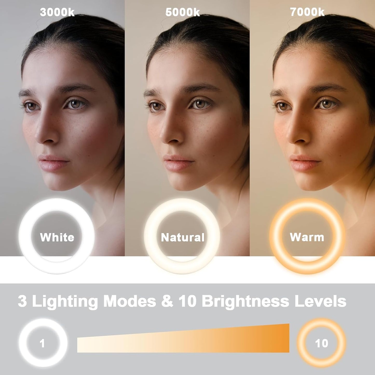 Meyin 10 Ring Light Clip on Laptop Monitor, Webcam Light Brightness Level Video Conference Lighting for Remote