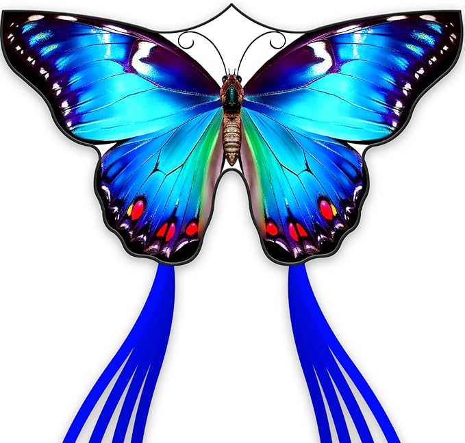 Beautiful Butterfly Kites for Boys and Girls,Large Easy to Flyer with String and Handle,Beach Kite for Family Outdoor Activities(Moonlight Butterfly)