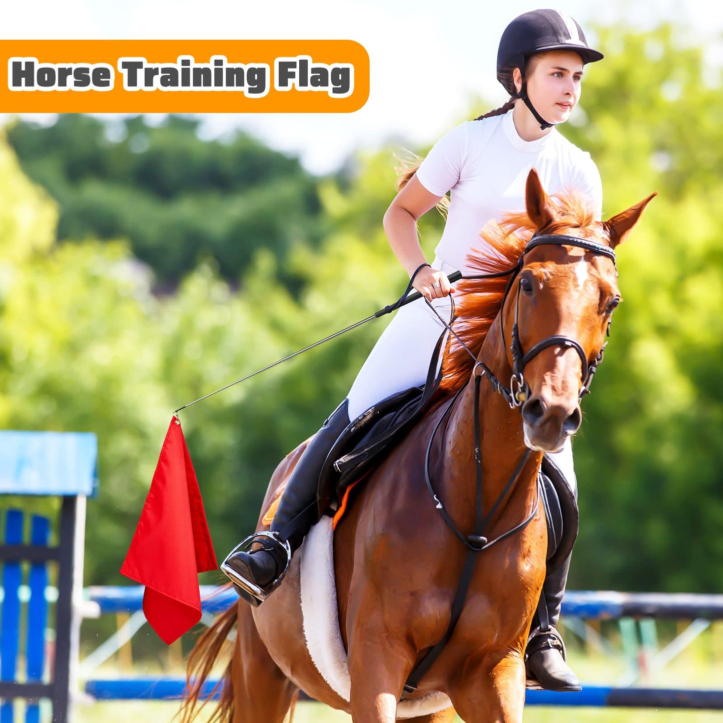 Equestrian Training Flag 4 Pieces Equestrian Training Equipment Nylon Flag with Flagpole(Red, Black, Green, Blue)