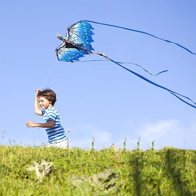 Mint's Colorful Life Dragon Kite for Kids & Adults, Easy to Fly Best Beach Kites for Beginners, 300ft Kite String Included