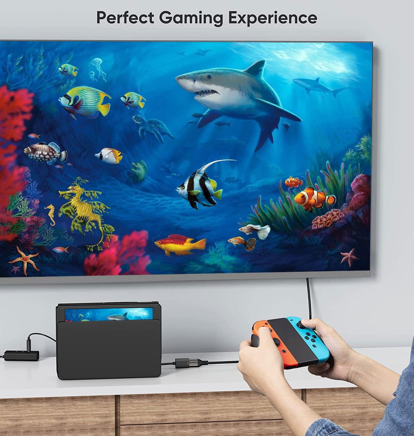 CableCreation 4K 2K@60Hz One/PS4/PS5 HDMI to DisplayPort Adapter with USB Power, X HDMI Male to DP Female Adapter