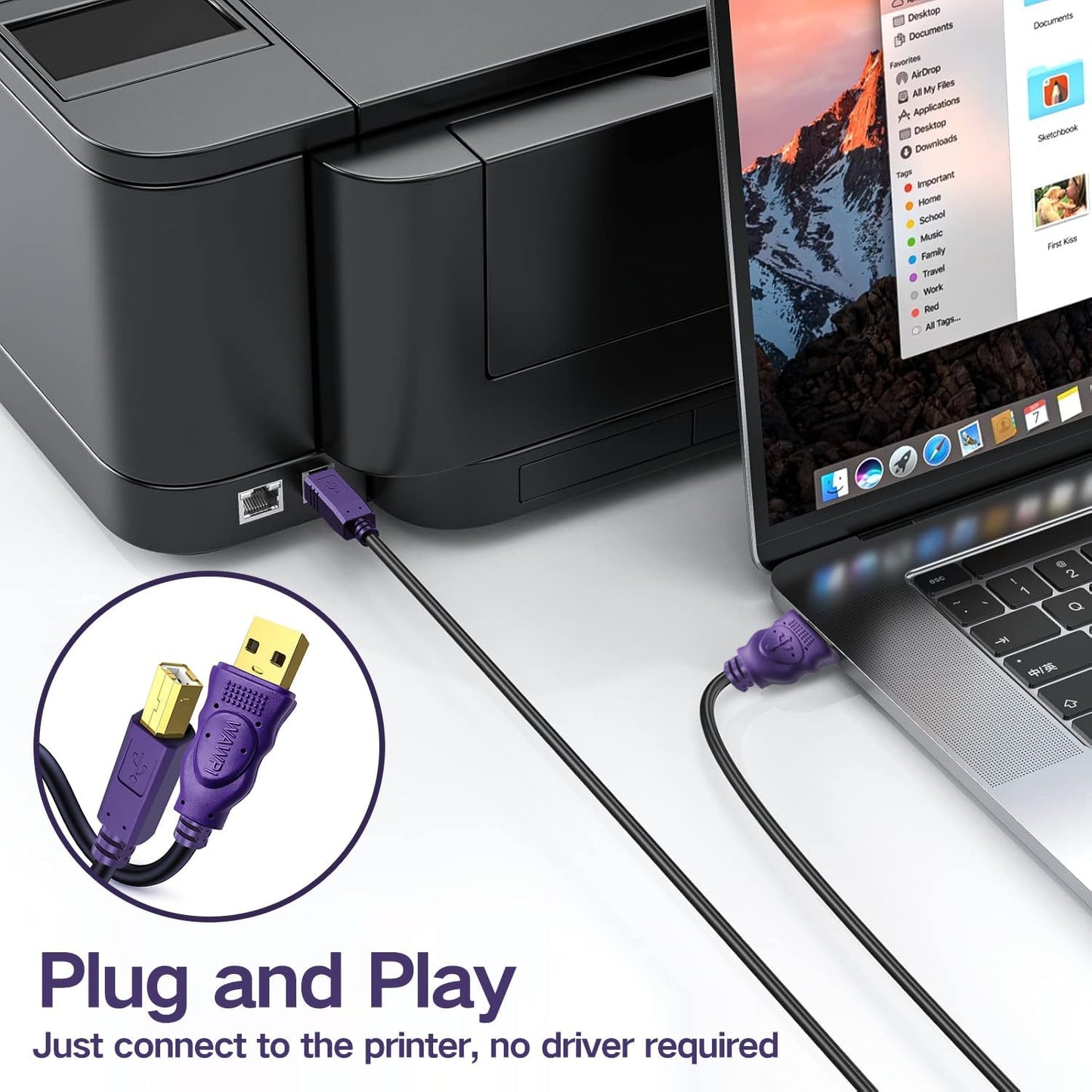 2.0 (30 Printer Cable, USB Cable A-Male to B-Male for Printer/Scanner ft)