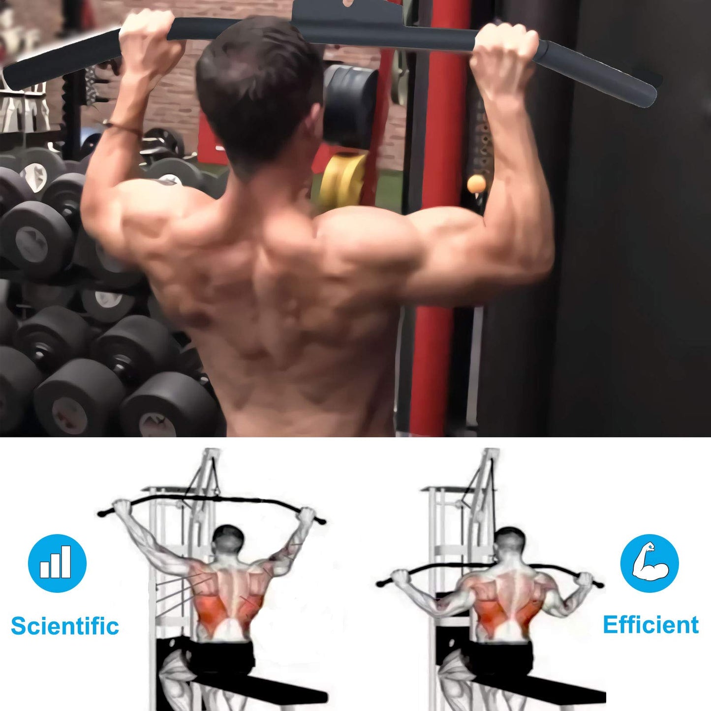 Cable Machine Lat Pulldown Attachments - 29/39/48 Inch Wide Grip Bar with Non-slip Handle for Home Gym Tricep Training (K Bar Length 48 Inch)