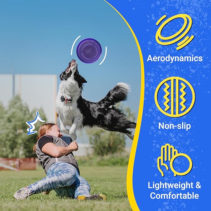Wham-O Frisbee Go Flying Disc, 9 Inch Lightweight Sports Disc for Beginners Outdoor Beach Backyard Lawn Park Camping Family Activity Game - 70g