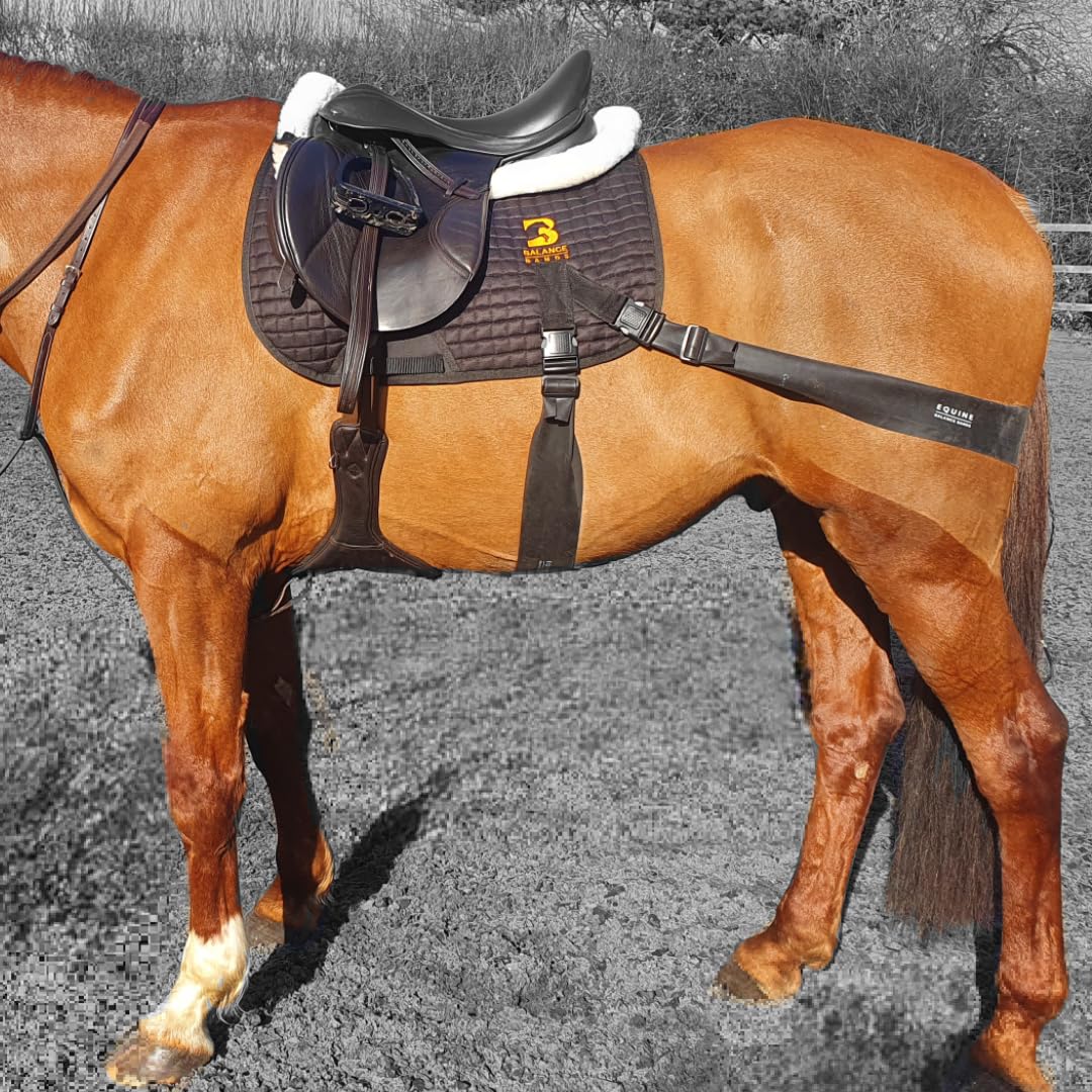 Equine Band System - Core Training Aid for Horses. Saddle Pad and Equibands System (All Purpose)