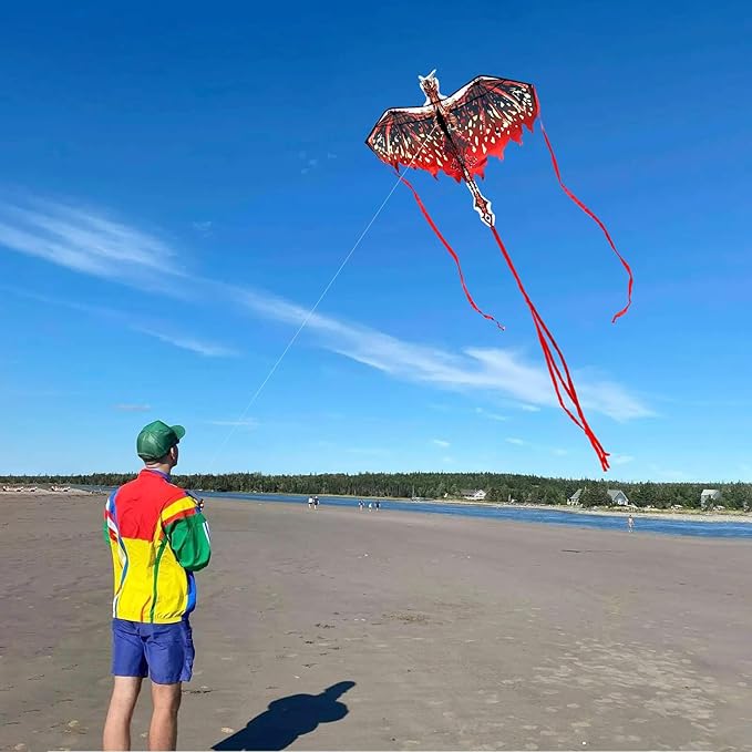 Mint's Colorful Life Dragon Kite for Kids & Adults, Easy to Fly Best Beach Kites for Beginners, 300ft Kite String Included