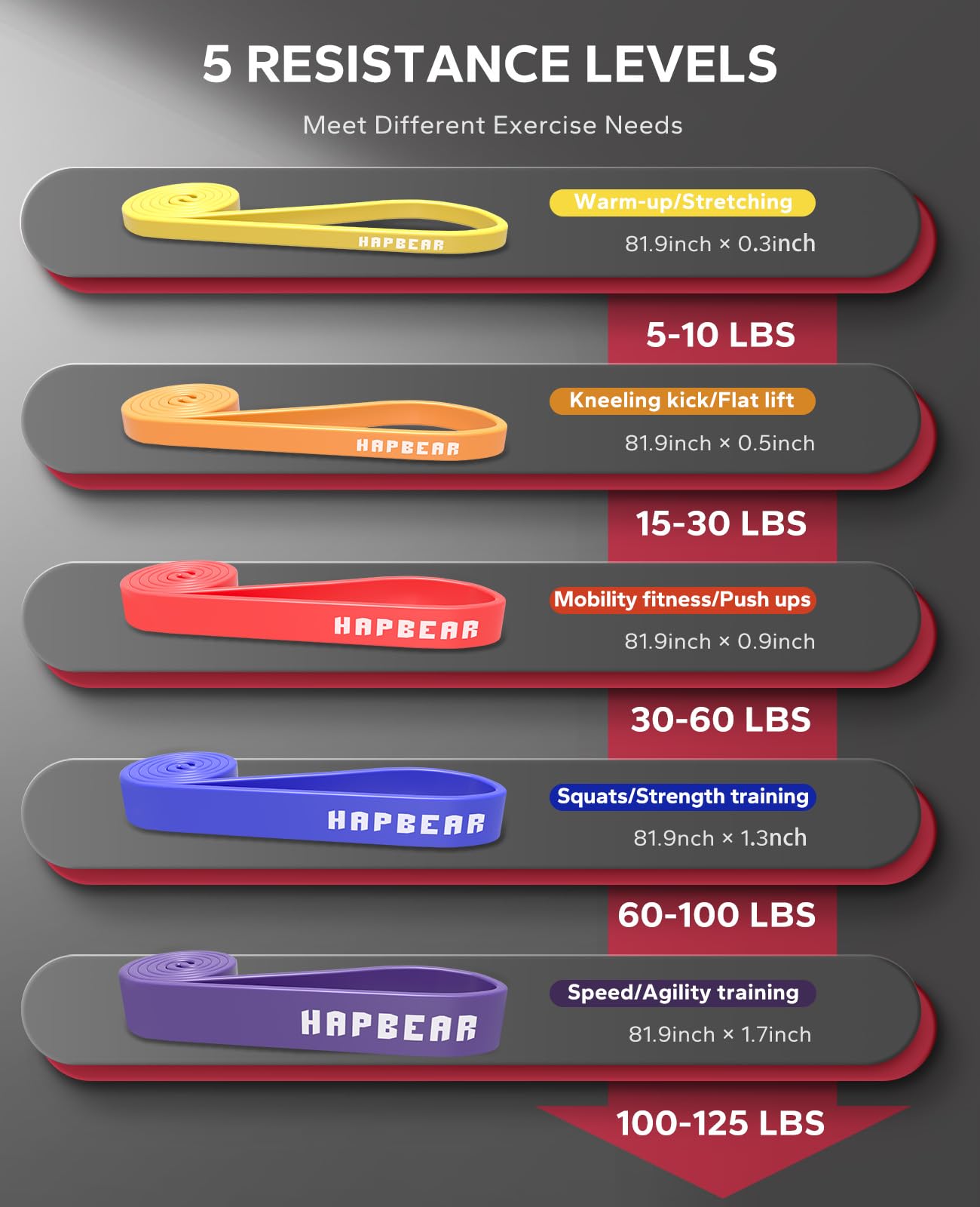 HAPBEAR Pull Up Assistance Bands - Pull Up Bands - Resistance Bands - Exercise Bands Resistance Bands Set - Workout Bands for Working Out, Stretching, Muscle Training - Colorful (5-125LBS)