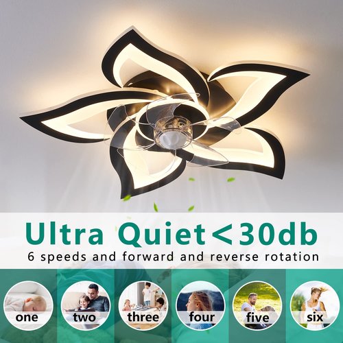 HuixuTe 24" Geometric Ceiling Fan with Lights Remote Control, 6 Speeds 3 Colors Black Low Profile Ceiling Fan with Light for Kitchen Bedroom Living Room